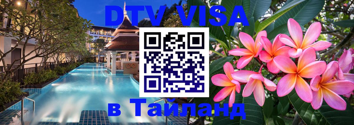 Оформление DTV визы под ключ: стоимость и тарифы, только загранпаспорт - 19.11.2025 